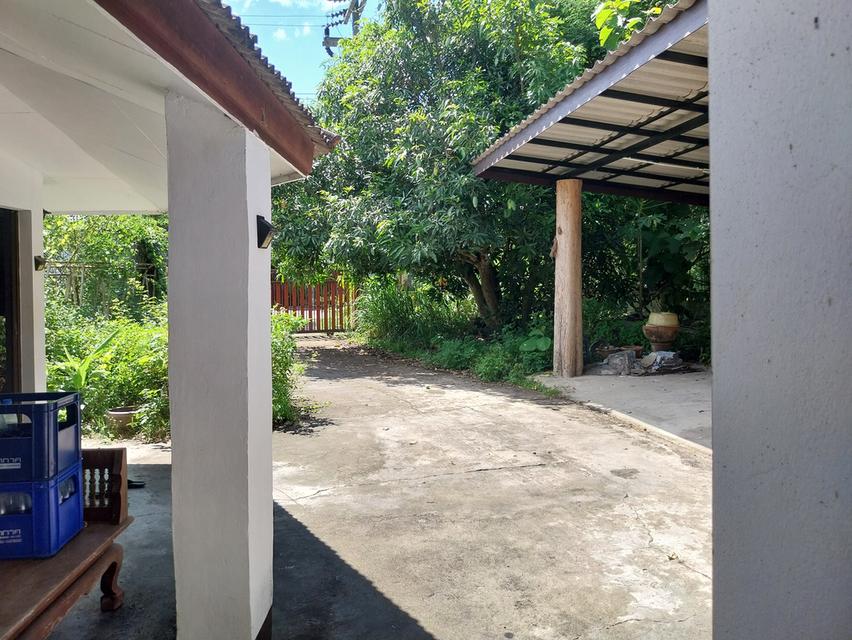 บ้านเดี่ยว อ.หางดง จ.เชียงใหม่ 3