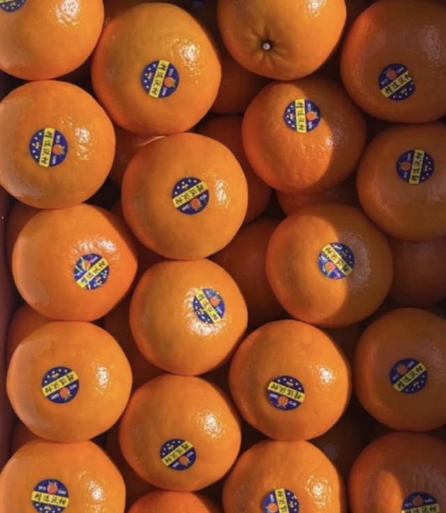 ส้มไต้หวัน