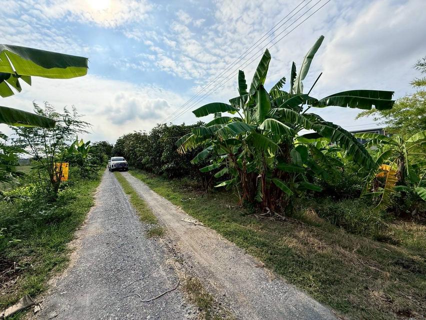 ðĒVāļēāļĒāļāđāļ§āļâžïļāļāļĩāđāļāļīāļāļāļāļāļĢāļēāļāļāļĪāļāļĐāđ 200 āļāļēāļĢāļēāļāļ§āļēð°āļāļīāļāļŦāļĄāļđāđāļāđāļēāļ āļāļāļēāļĻāļīāļĢāļīðŪāļāļāļĒāļāļĨāļāļāļāļ§āļĨāļāļīāļāļĒāđ āļ.āđāļĄāļ·āļāļāļāļāļļāļĄ āļ.āļāļāļļāļĄāļāļēāļāļĩðē 095-879-4465 āļĨ 7