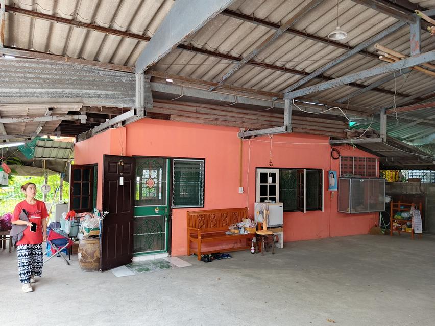 ขายบ้าน2ชั้นครึ่งตึกครึ่งไม้พร้อใที่ดิน47ตรว. 2