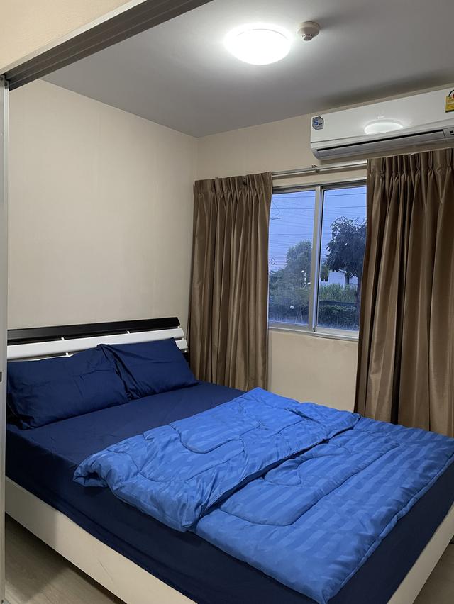 พลัมคอนโดรังสิตให้เช่า 10