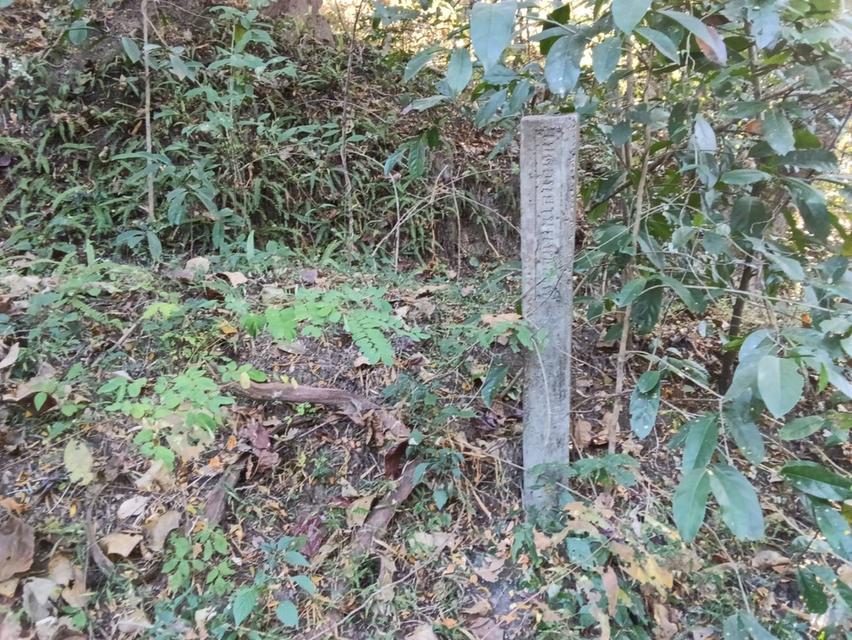 ขายที่ดินวิวธรรมชาติใกล้น้ำตกแม่ยะศักยภาพสูง ใกล้น้ำตกแม่ยะ อ.จอมทอง จ.เชียงใหม่ 13