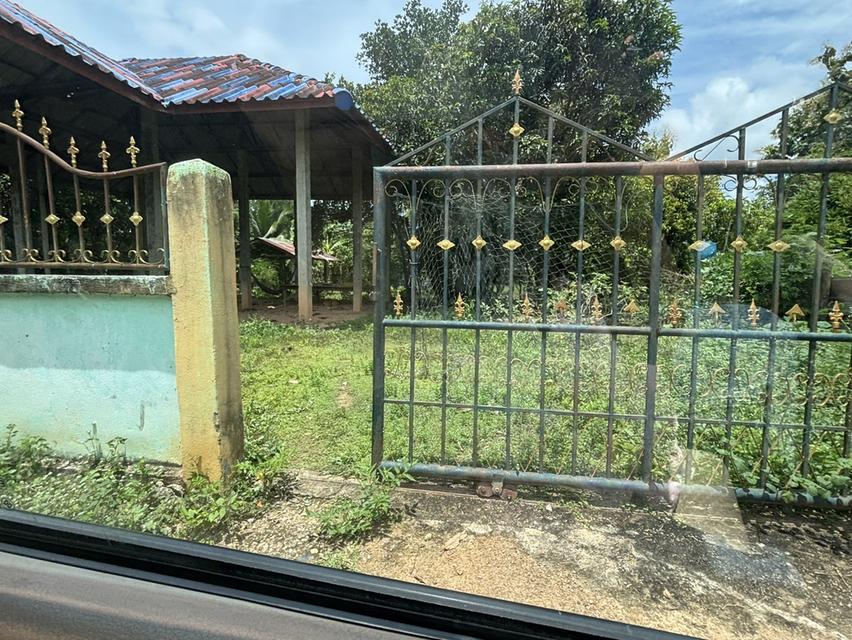 ที่ดิน ตำบลป่าสัก อำเภอวังชิ้น จังหวัดแพร่ 9