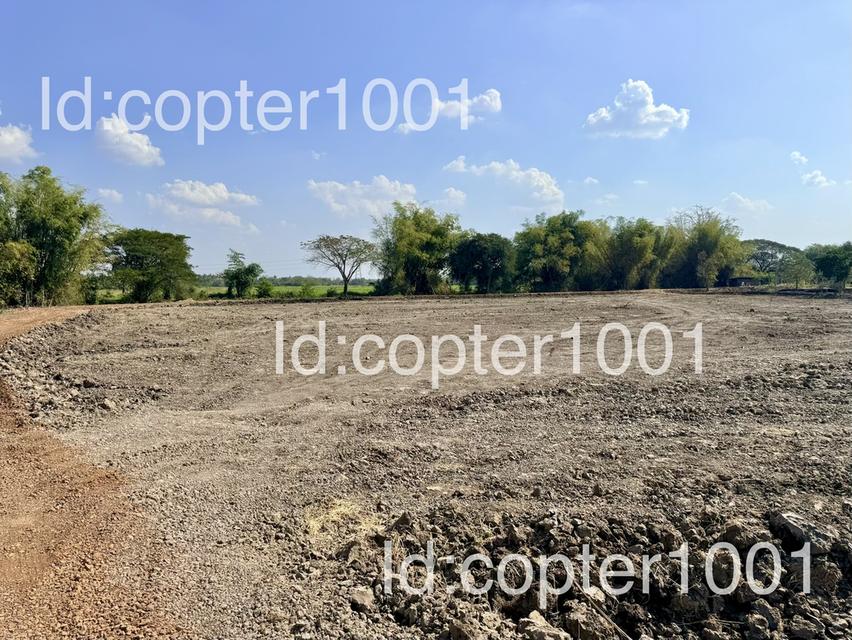 ขายที่ดินแบ่งล็อค โคราช 3