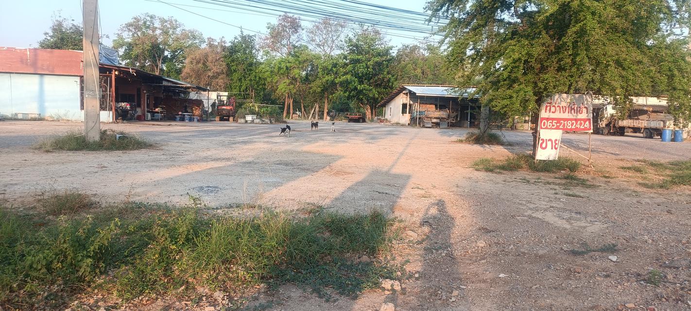 ที่ดินพร้อมห้องแถว 9 ห้อง 19