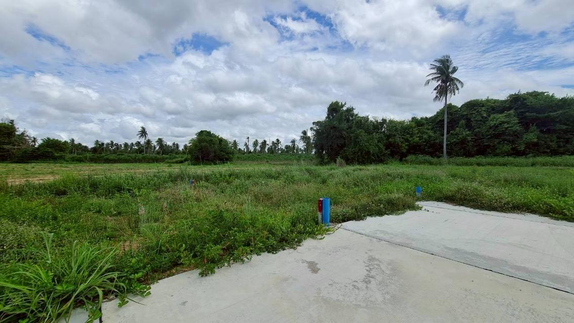ที่ดิน THE PROPERLAND HUAY YAI 10