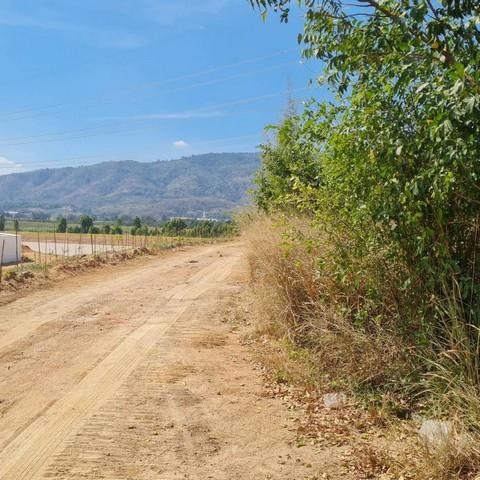 ขายที่ดินผังม่วงบ้านบึงชลบุรี ที่ดินอุตสาหกรรม 31-1-46 ไร่ ติดนิคม WHA | ทางสาธารณะ 3 ด้าน พื้นที่สีม่วงลาย 2