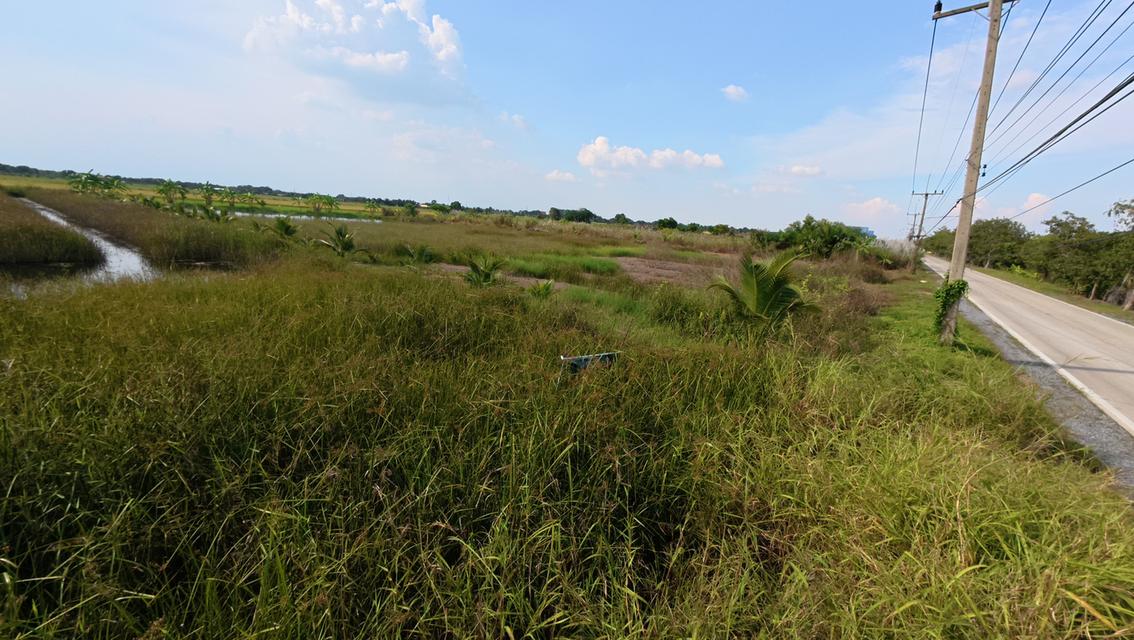 ที่ดินเปล่า ถมแล้ว ถนนคลองหลวง ต.คลองหก อ.คลองหลวง จ.ปทุมธานี 2