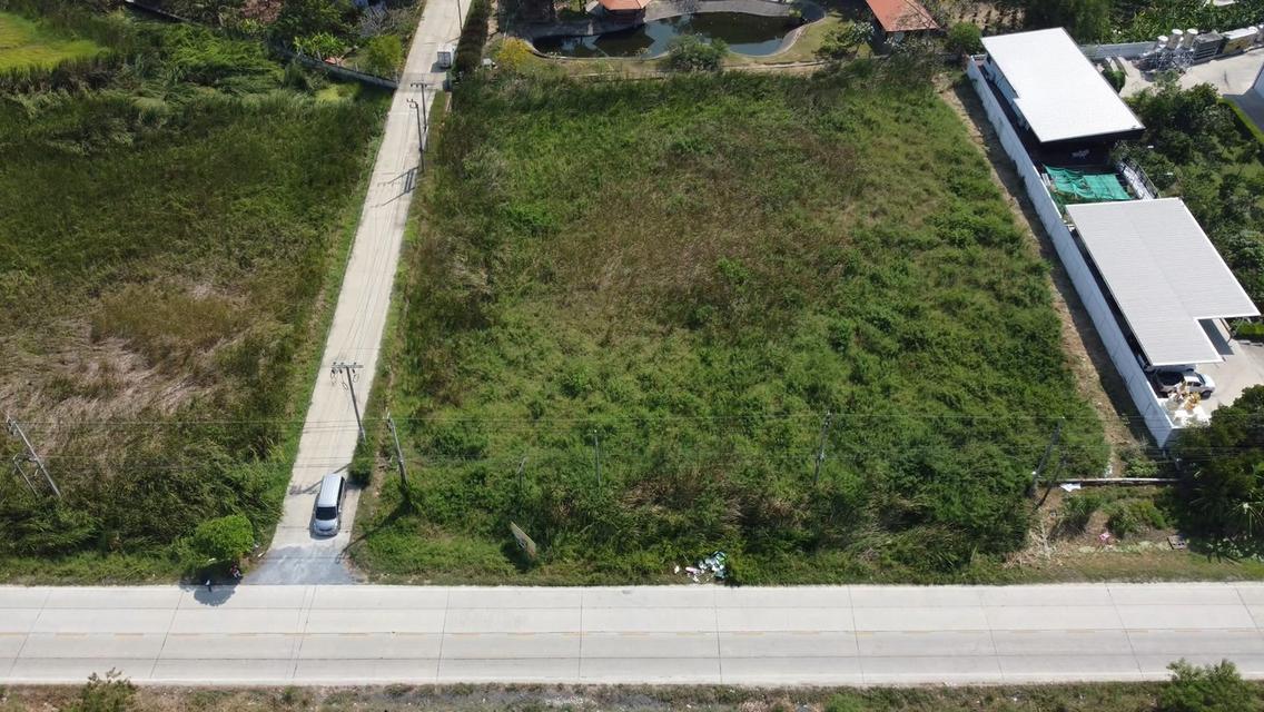 📊 ประกาศขายที่ดินเพื่อการลงทุน (Investment Grade Asset) 2