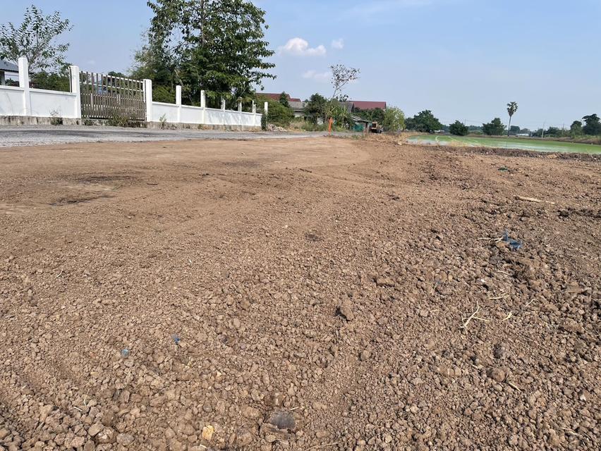 ขายที่ดินถูกสุดๆ ทำเลทอง ตำบล คลองห้า อำเภอคลองหลวง ปทุมธานี 15