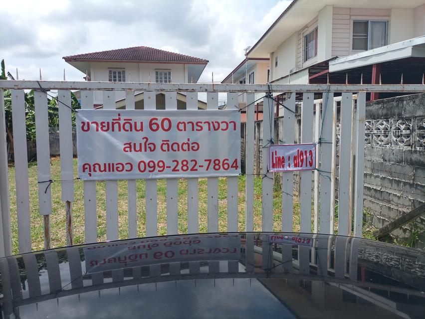 ที่ดิน 60 ตารางวา