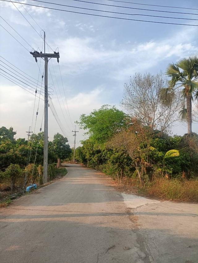 ขายที่ดินโฉนดครุฑแดง (เจ้าของขายเอง) 3
