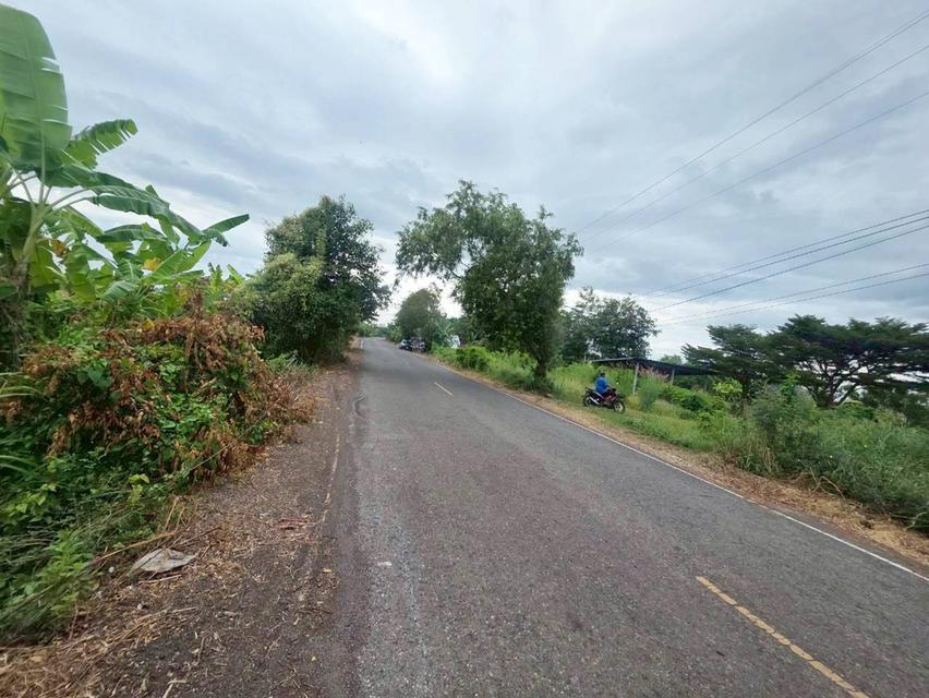 ขายที่ดินเปล่า ดงละคร ใกล้วัดใหม่บำเพ็ญผล ปากพลี นครนายก 3