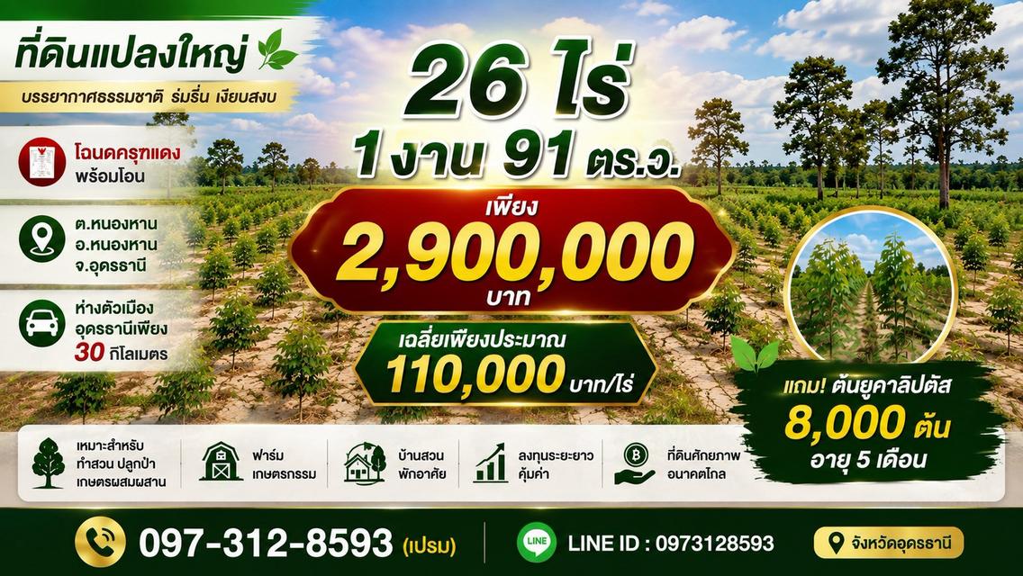 ที่ดินสวย 26 ไร่ 1 งาน 91 ตารางวา | เพียง 2,900,000 บาท 1