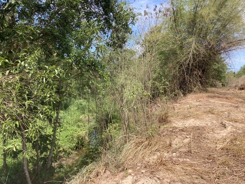 ขายที่ดินเปล่า หัวหิน ทับใต้ 12-3-13 ไร่ ติดถนน ทำเลดี ใกล้แม็คโคร ปราณบุรี 3