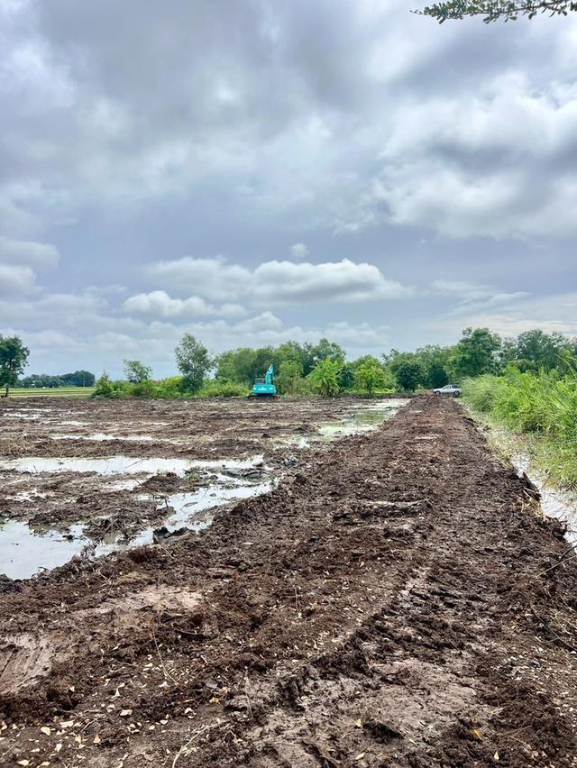 ที่ดินคลอง 5 คลองหลวง ทำเลดี ใกล้มอเตอร์เวย์! 5