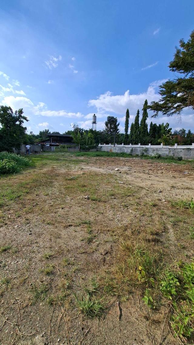 ที่ดินทำเลดี ต.น้ำแพร่ อ.หางดง จ.เชียงใหม่ 2
