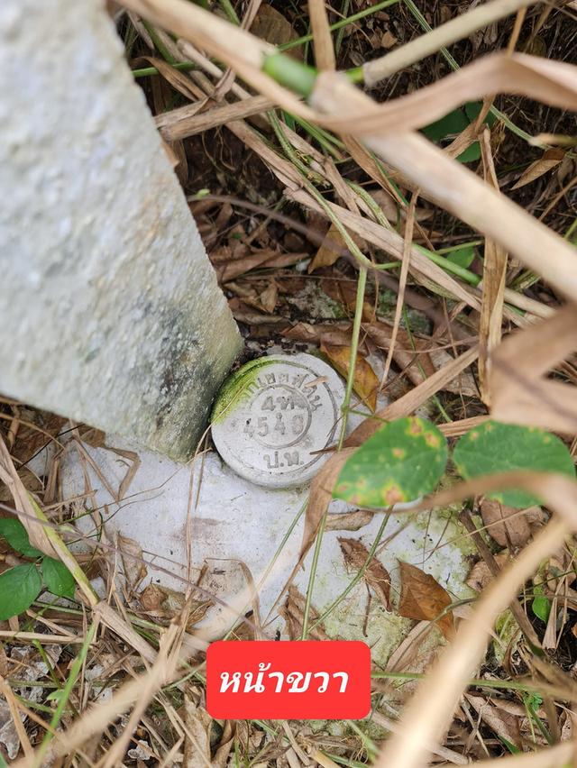 ขายที่ดิน ห่างคลองสี่80ม. ทางเข้าถนนคอนกรีต  ใก้ลทางด่วน motor way , ใก้ลสำนักงานขนส่งปทุม  ซอยคลองสี่ตะวันตก 23 ตำบลคลองสี่ อำเภอ คลองหลวง ปทุมธานี 4