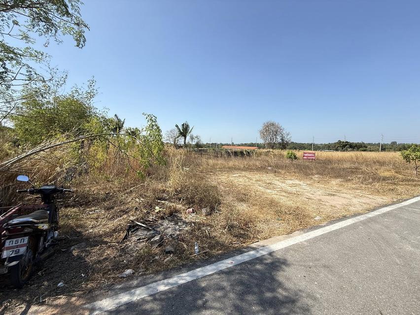ขายที่ดินหนองปลาไหลถมแล้ว 100 ตรว. ซอยเทพนิมิตร3 ใกล้ถ.กระทิงลาย-ปลวกเกตุ36-4กม. อ.บางละมุง จ.ชลบุรี 6
