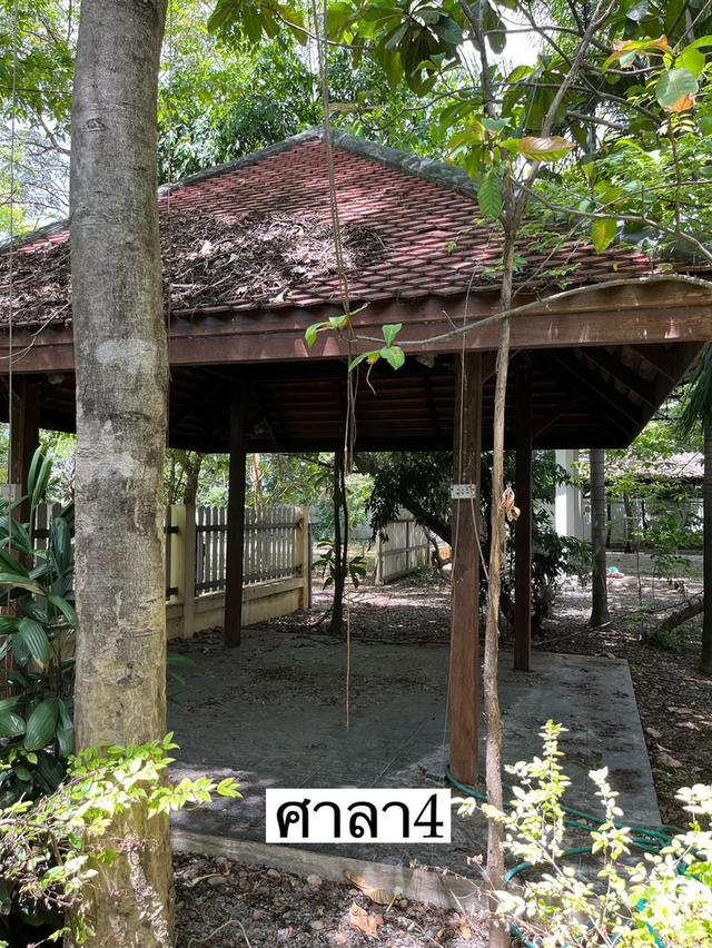 ขายบ้านสวน ซ.ท่ายายโหมด ถ.พุธมณฑล สาย 8 อ. สามพราน จ. นครปฐม 8