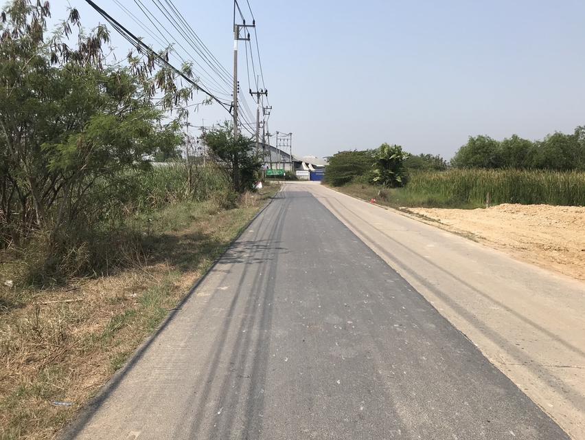 ขายด่วน‼️ ที่ดินแปลงสวย 600 วา –ทำเลศักยภาพสูง 📍คลองโยง ศาลายา นครปฐม