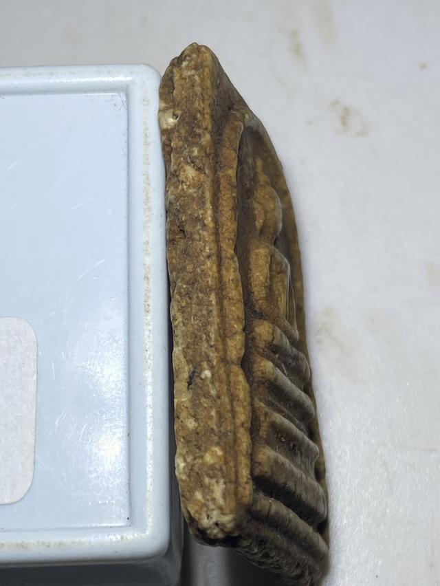 พระสมเด็จปรกโพธ์ พระแท้ ไม่รู้ที่ 4