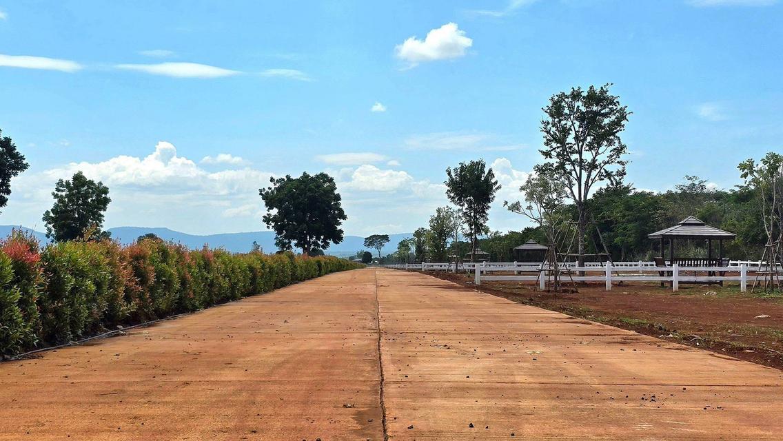 ไพลิน กรีนวัลเลย์ เขาใหญ่ ตำบล วังไทร อำเภอปากช่อง นครราชสีมา 5