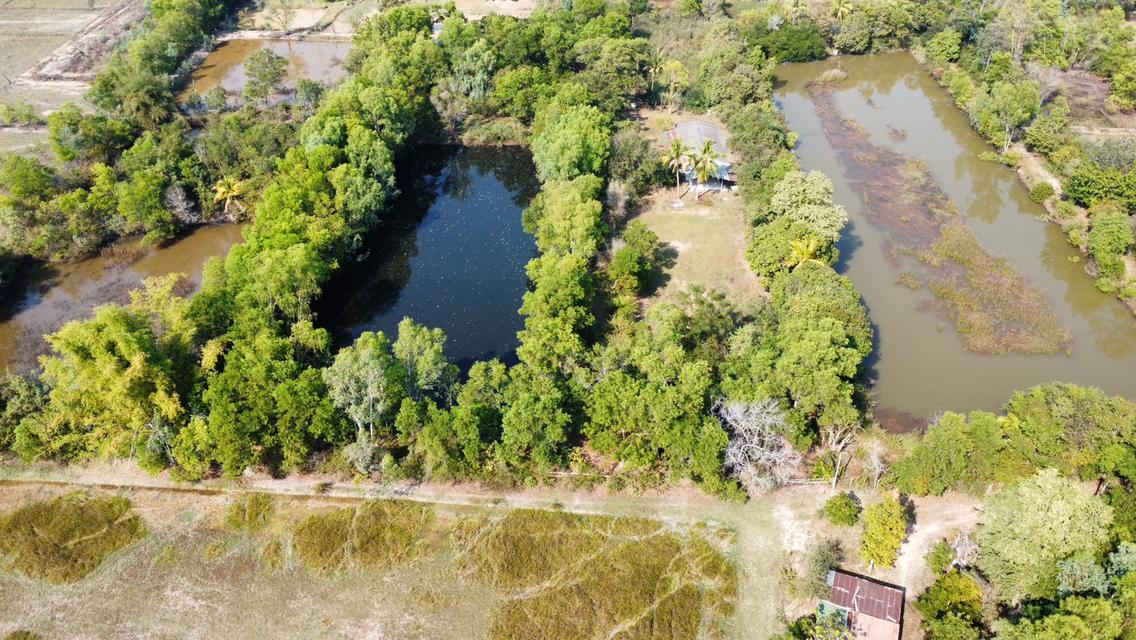 🔥 ขายด่วน! บ้านพร้อมที่ดิน พื้นที่ขนาดใหญ่ ใกล้เมือง จ.อุดรธานี (รหัส H1SS-491) 14