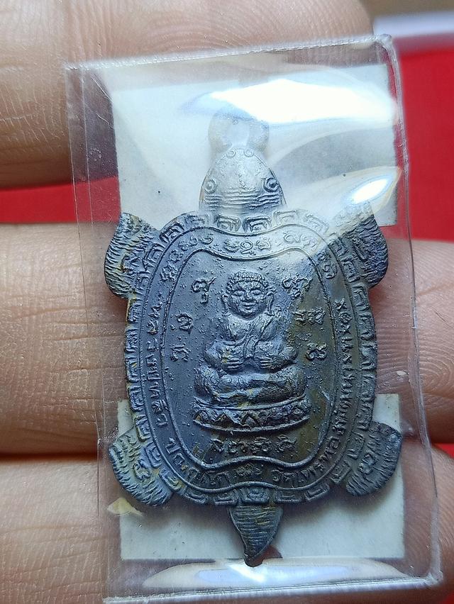 เต่าหลวงปู่หลิวปี2539รวมพลังมหาลาภหนองพังตรุ