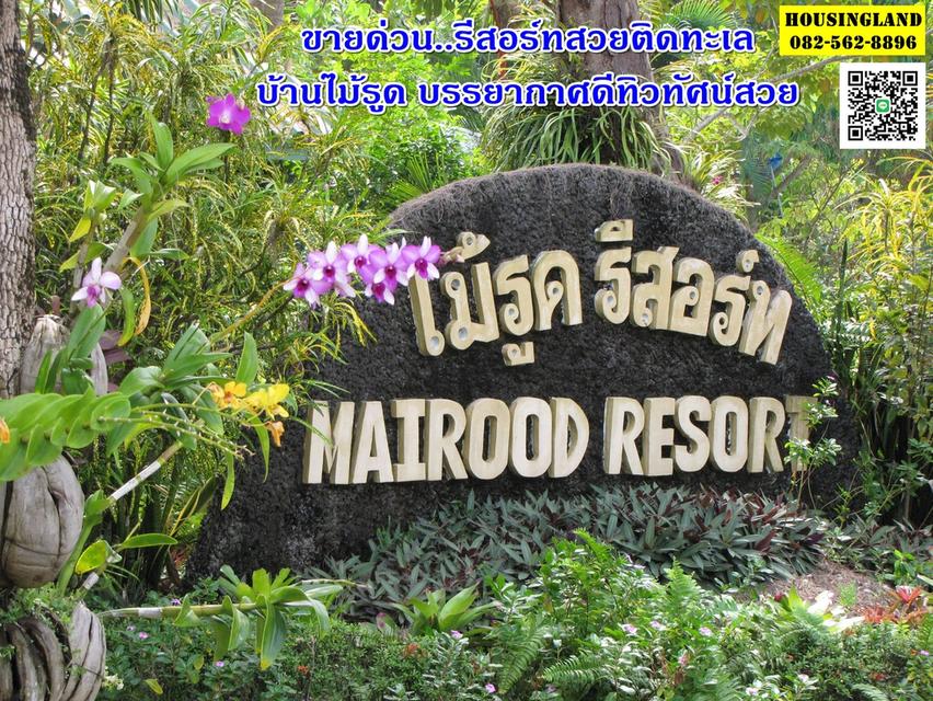 ขายรีสอร์ทสวย พื้นที่ 3 ไร่ ด้วยทิวทัศน์สวยงามของภูเขาและทะเล คลองใหญ่-หาดเล็ก ตำบลบ้านไม้รูด จังหวัดตราด
