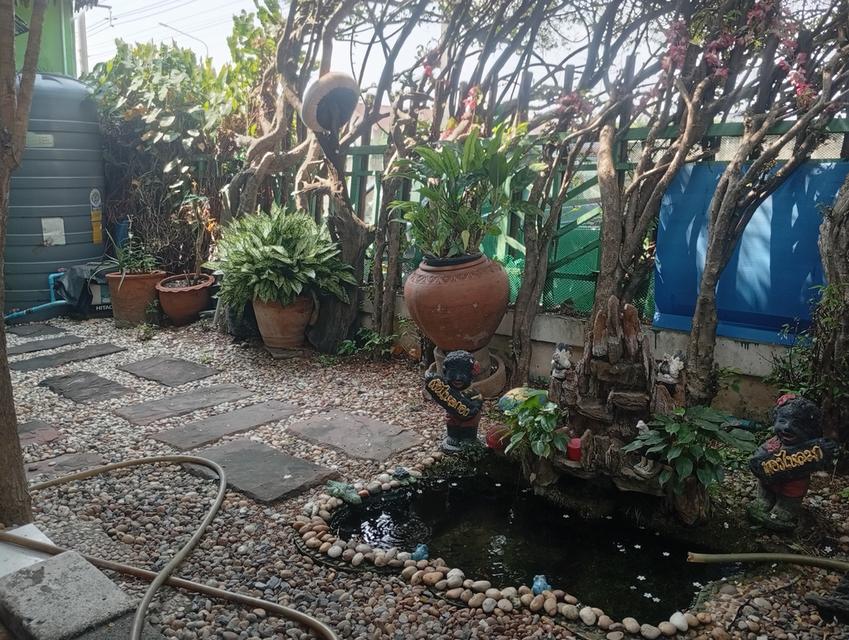 ทาวน์เฮ้าส์ 2 ชั้น 3 ห้องนอน 2 ห้องน้ำ พื้นที่ 25 ตรว.หัวมุม(พฤกษา13 คลอง3รังสิต 4