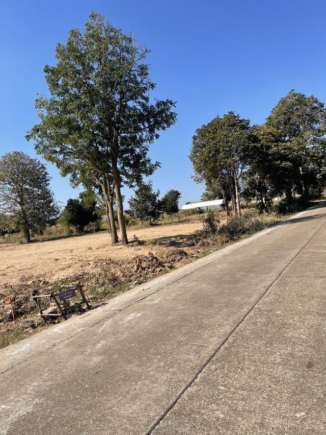 ขายที่ดินแถวหมู่บ้านสีหราช 10