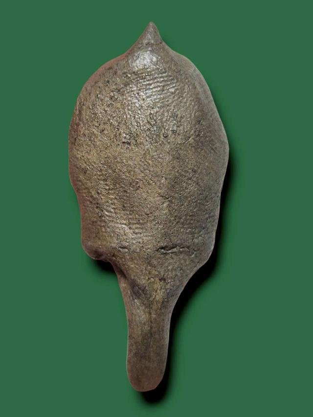 พระรอด เปิดให้บูชาจ้า รูปที่ 3