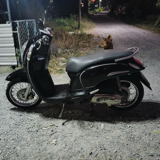 scoopy i. 2015 5