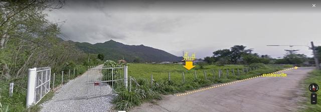 ที่ดิน 4 ไร่  กลางดง ปากช่อง 2