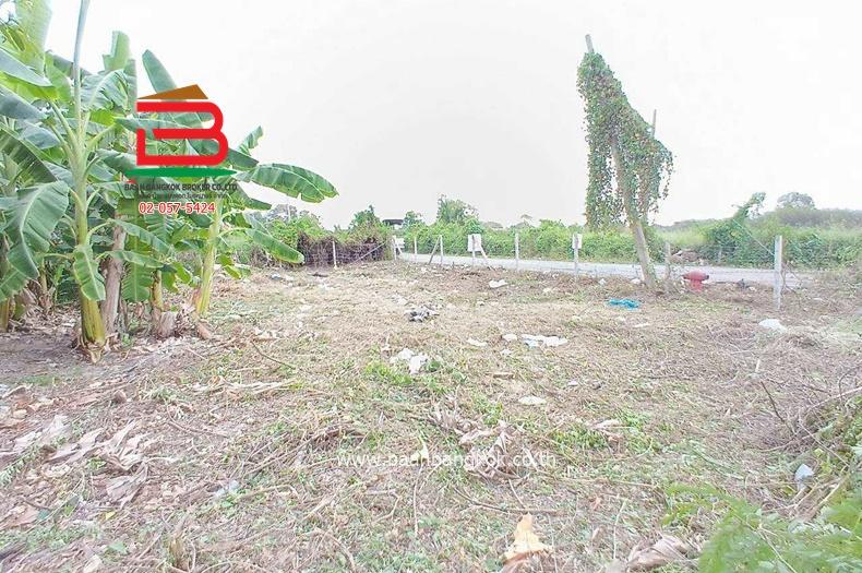 ขาย/เช่า ที่ดินถมแล้ว หมู่บ้านฉัตรหลวง เนื้อที่ 120 ตรว. ถนนกาญจนาภิเษก อ.ไทรน้อย จ.นนทบุรี 4