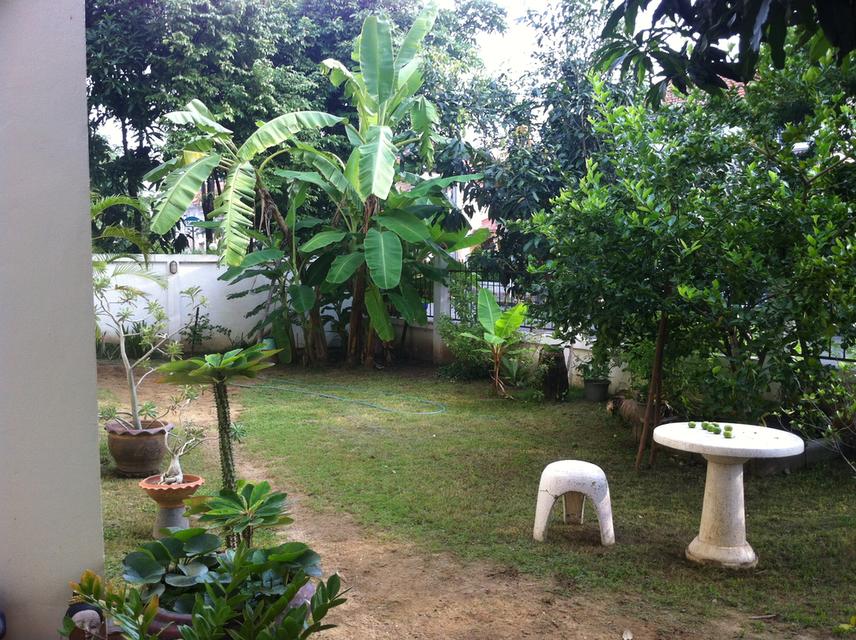 ขายถูก บ้านเดี่ยว 2 ชั้น หลังหัวมุม หมู่บ้านลลิลอินเดอะพาร์ค 5 นอน 3 น้ำ วัชรพล 3 (เจ้าของขายเอง) 6