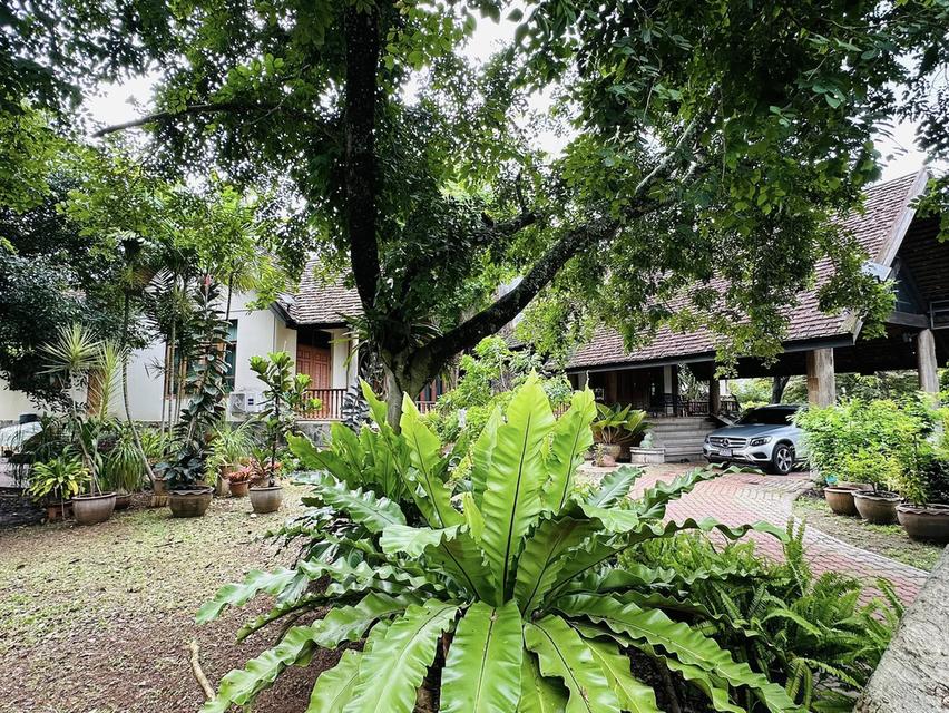ขายรีสอร์ท & บ้านหลังใหญ่ เขาใหญ่ ปากช่อง 7