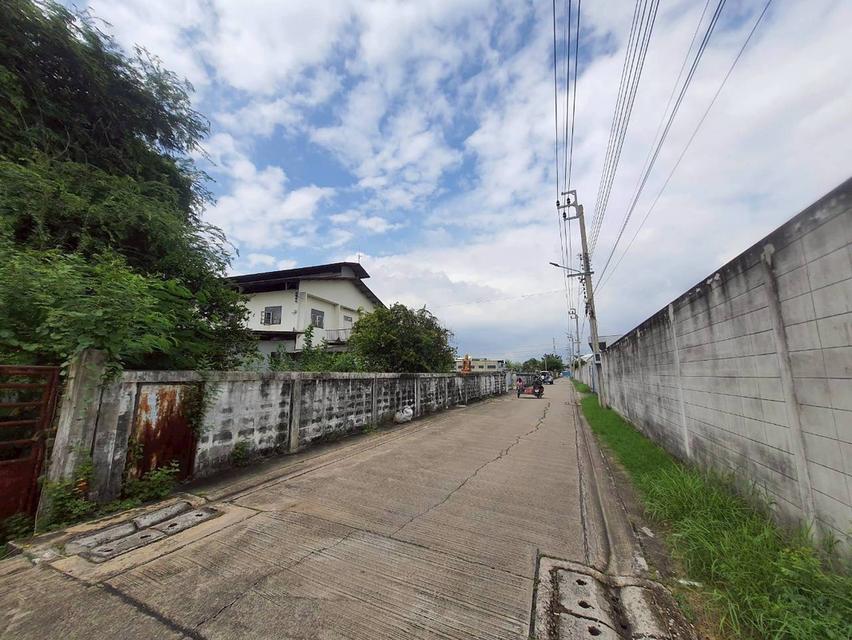 ขายถูกมากที่ดินหนองแขม 3 ไร่ 3 งาน 51 ตรว ติดถนนคอนกรีตสาธารณะ เลียบคลองภาษีเจริญฝั่งเหนือ 10 กทม. 6