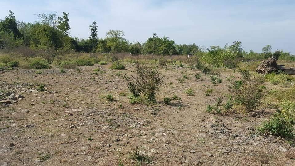 ขายที่ดินบุรีรัมย์ Land for Sale in Buriram 3