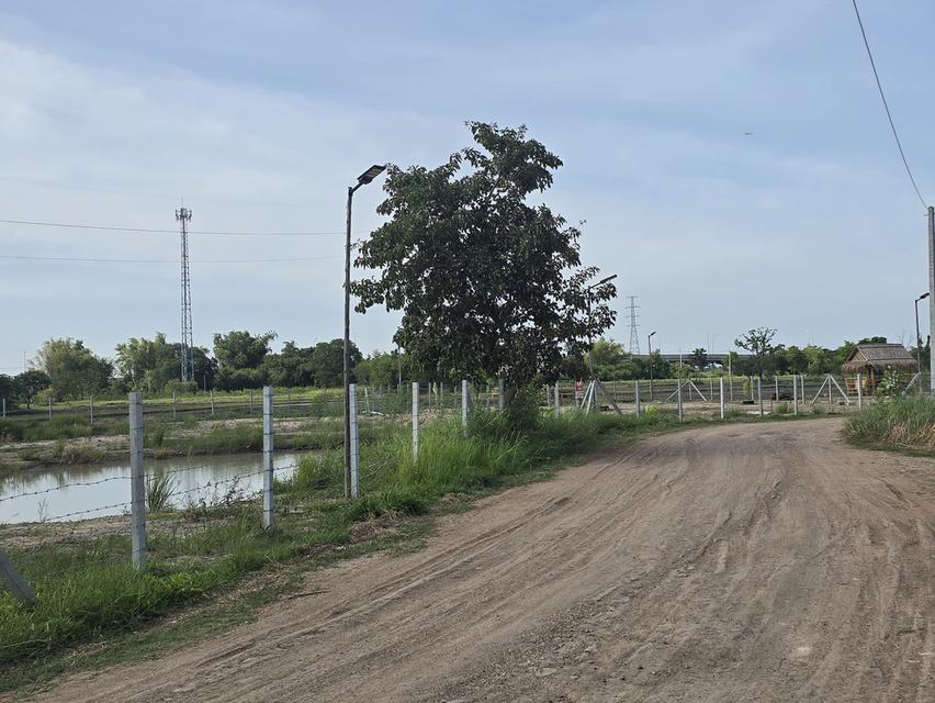 🍀 ขายที่ดินโคราช ใกล้จุดขึ้นลงมอเตอร์เวย์ M6 เพียง 7 นาที 4