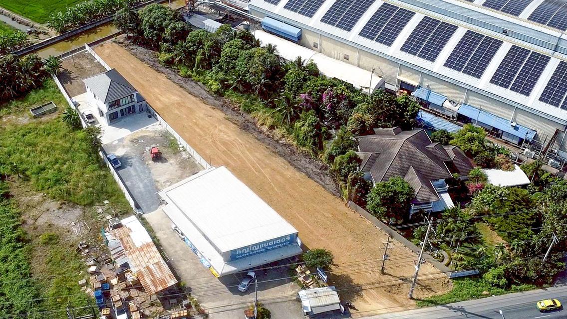 เปิดประตูสู่ธุรกิจบนถนนสายหลัก! ที่ดินสาย 5 ถมแล้ว 100% ติดถนนใหญ่หน้ากว้าง 22.5 ม. 3