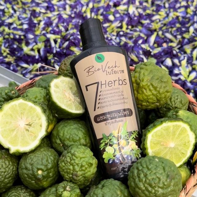 ผลิตภัณฑ์แชมพูและครีมนวดสมุนไพร ไบโอเวช หยุดผมร่วง ฟื้นฟูผมแห้งเสีย กลับมาดกดำ รูปที่ 5