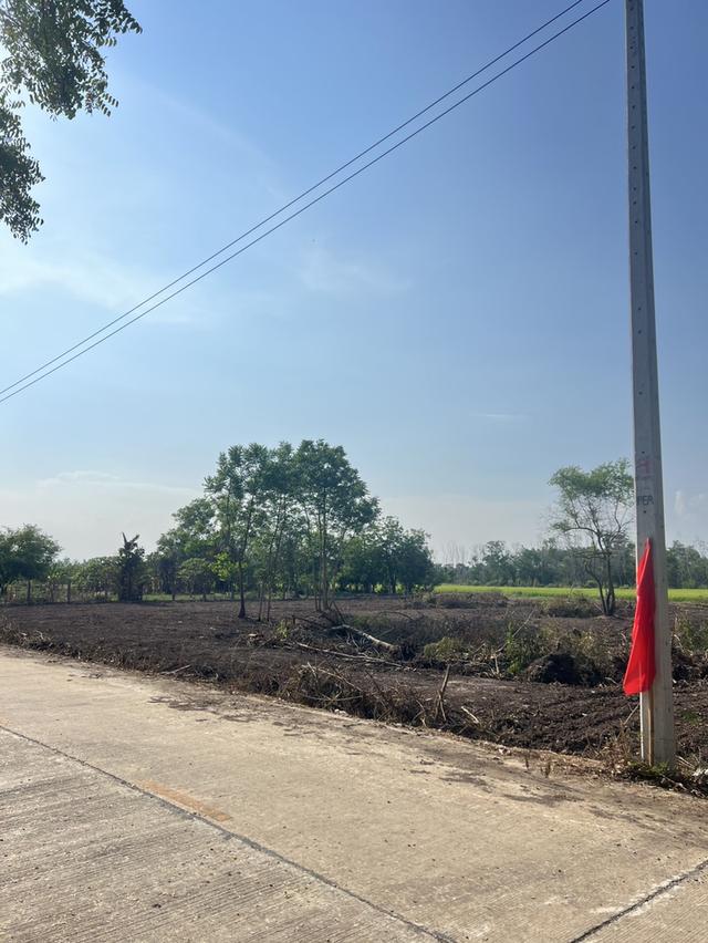 ขายที่ดิน 2 ไร่ คลองหก ปทุมธานี ราคาถูกสุดในย่านนี้!  6