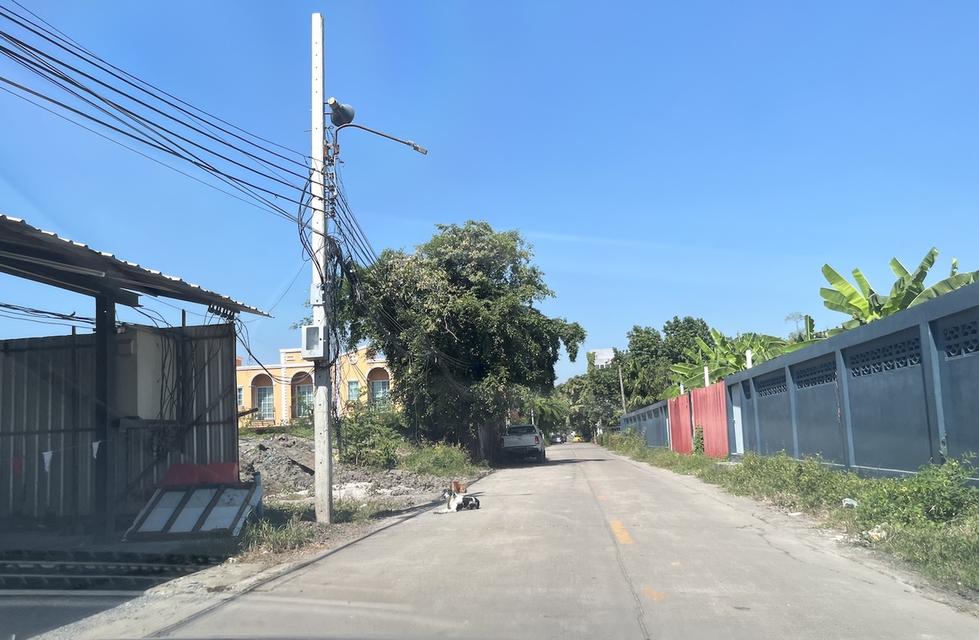 ขายที่ดิน 326 วา ใกล้ ม.รามคำแหง หัวหมาก 098 7755 808 12