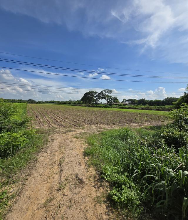 ขายที่ดินทำเลทอง ใกล้ตัวเมืองพิจิตร ติดถนน 4 เลน ตรงช้ามท่าข้าวสิงห์โตทอง 15 ไร่ 46.5 ตารางวา ราคา 18,134,000 บาท สมใจติดต่อ 0819734297 เจ้าของที่ดิน