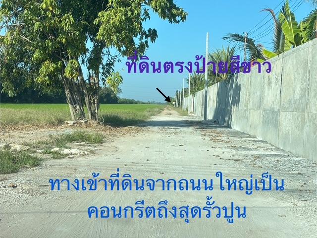 ที่ดิน 2 ไร่ 4