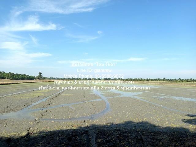 บ้าน ขายบ้าน 2 ชั้น พร้อมที่ดินทุ่งนา อ.นครชัยศรี นครปฐม 11-3-13 ไร่ ราคา 23,565,000 บาท 4 ห้องนอน 4713 ตารางวา 23565000 6