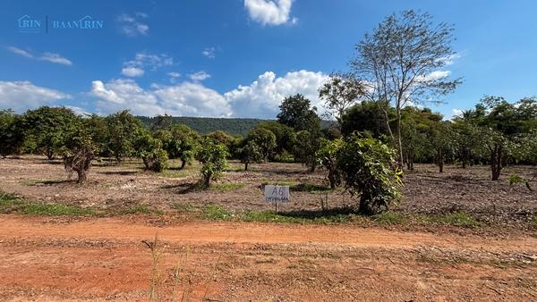 ขายที่ดินเปล่า พร้อมสวนมะม่วง 180 ตร.ว. / 199,999 บ.  097 446 4446 9