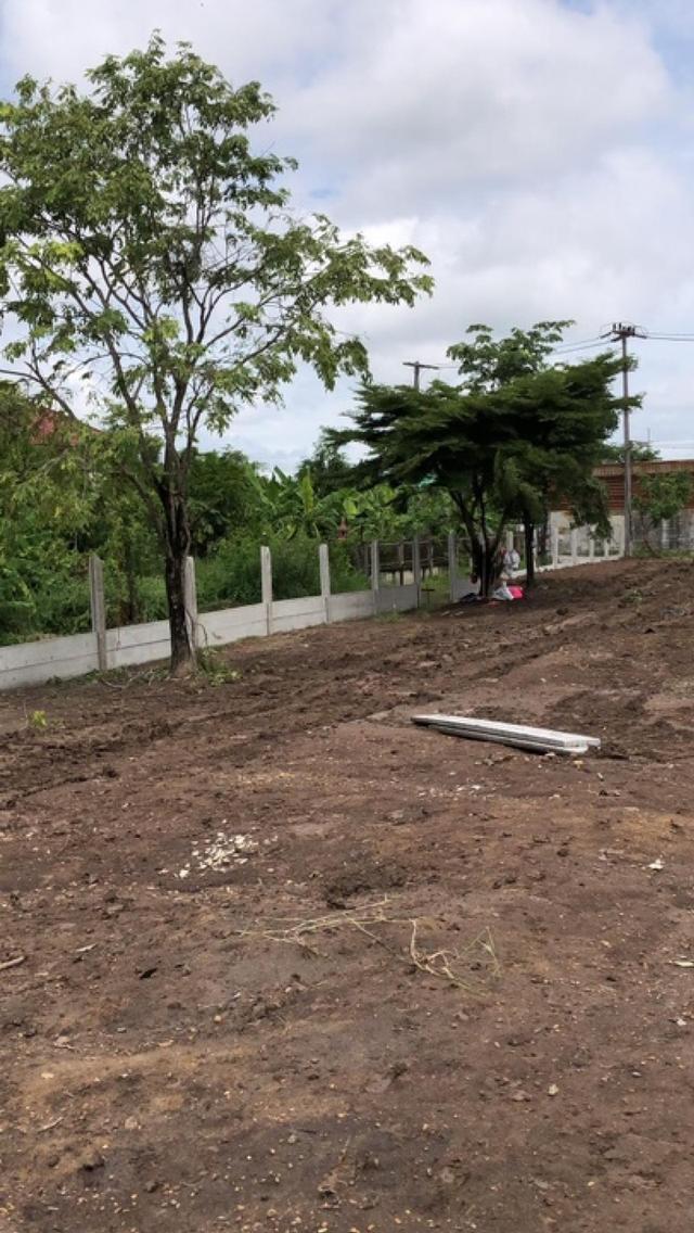 ขายที่ดิน 1 ไร่ 3 งาน ถมแล้ว ที่สวย บรรยากาศดี ร่มรื่น เงียบสงบ  ปลอดภัย ใกล้แหล่งท่องเที่ยว 8